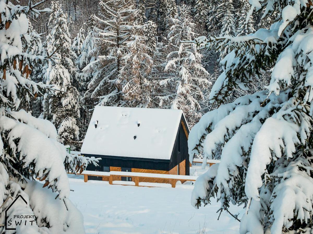 Projekt Swit - Domki Z Prywatna Jacuzzi I Sauna Villa Żywiec Exterior foto